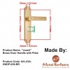 "Joash" Brass Door Handle with Plate 